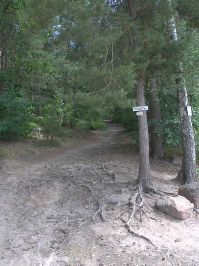 La Tour du Faudé, Alsace (France)